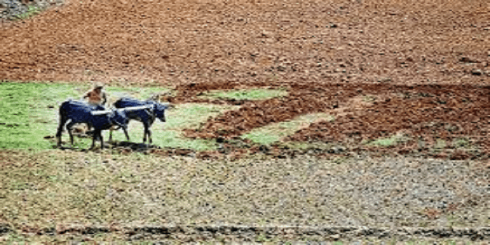 Samrakshane Crop Insurance: Empowering Farmers with Protection